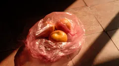 The magic bag keeping fruit fresh and saving money in American homes